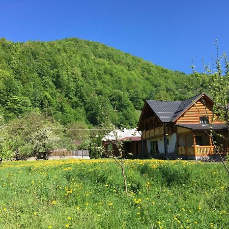 Вилла Casa Nova Вишеу-де-Сус Экстерьер фото