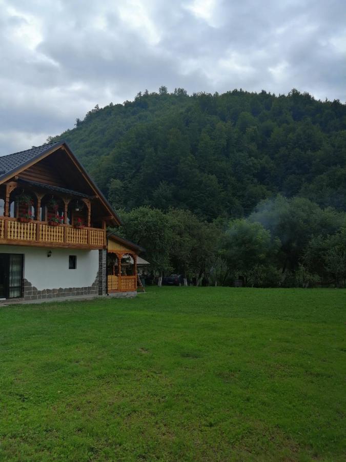 Вилла Casa Nova Вишеу-де-Сус Экстерьер фото