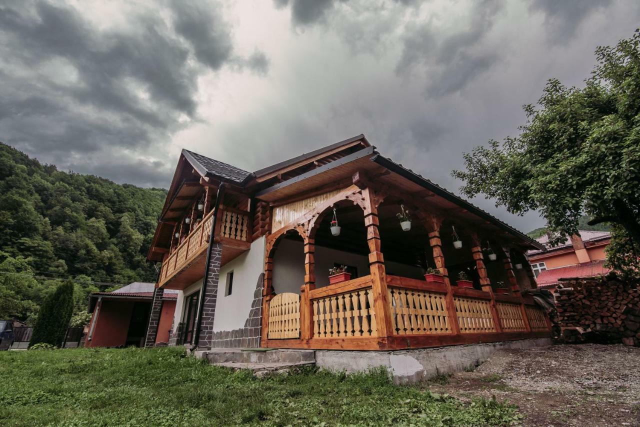 Вилла Casa Nova Вишеу-де-Сус Экстерьер фото