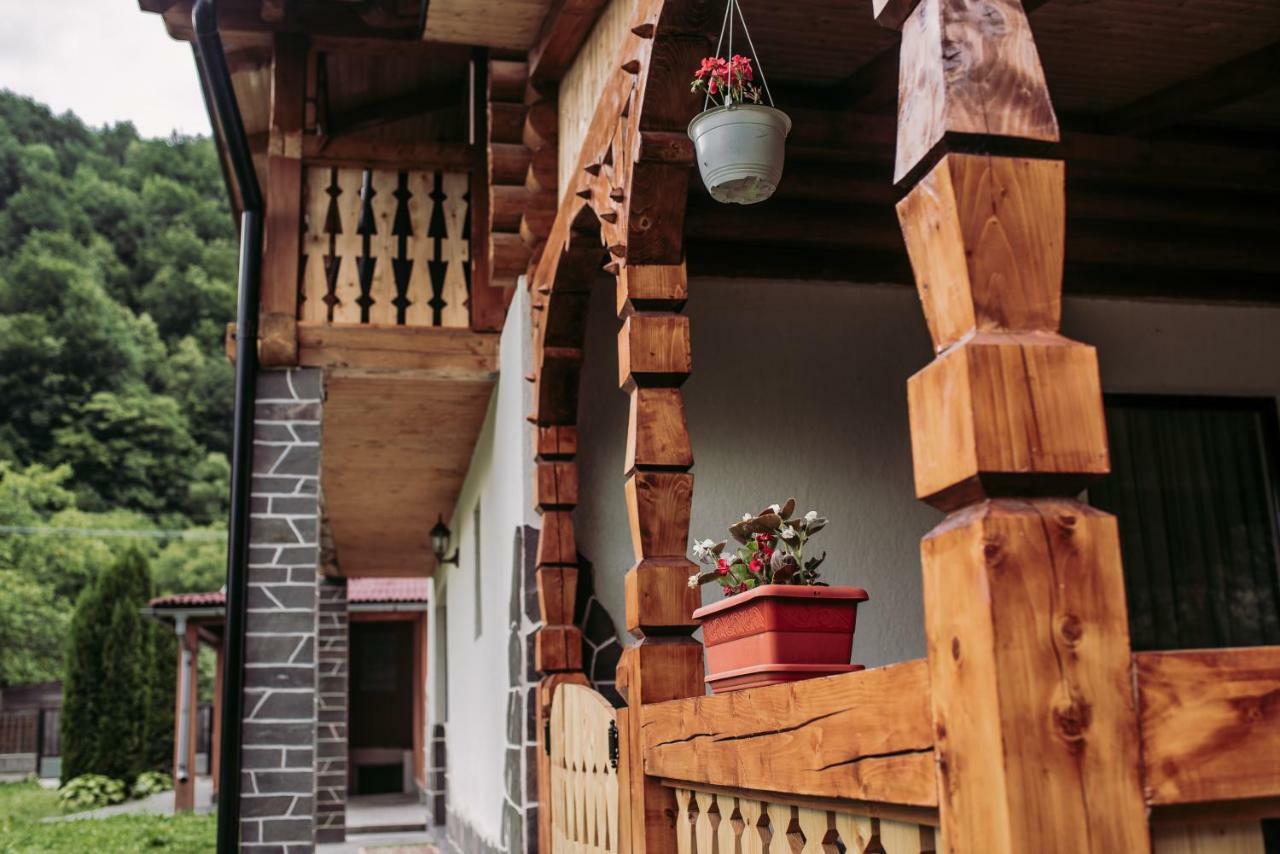 Вилла Casa Nova Вишеу-де-Сус Экстерьер фото