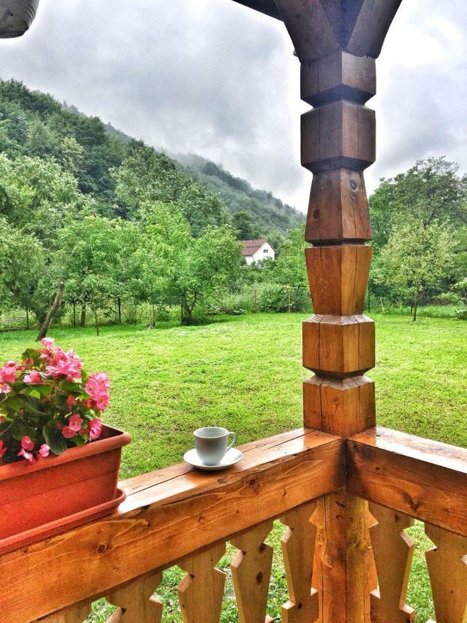 Вилла Casa Nova Вишеу-де-Сус Экстерьер фото