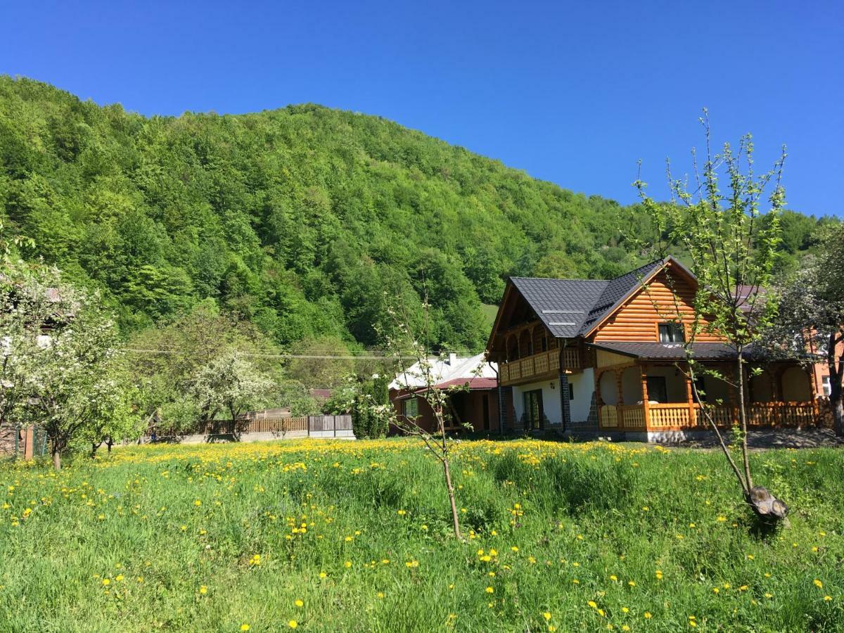 Вилла Casa Nova Вишеу-де-Сус Экстерьер фото