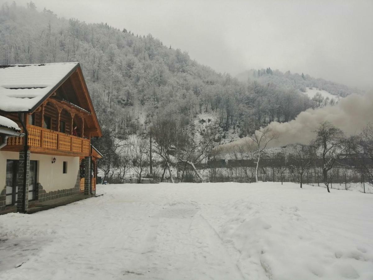 Вилла Casa Nova Вишеу-де-Сус Экстерьер фото
